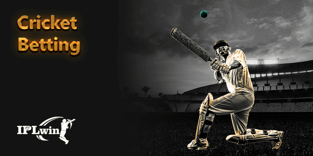 2288bet telegram