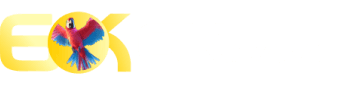 Print saldo bet365 - Kslots
